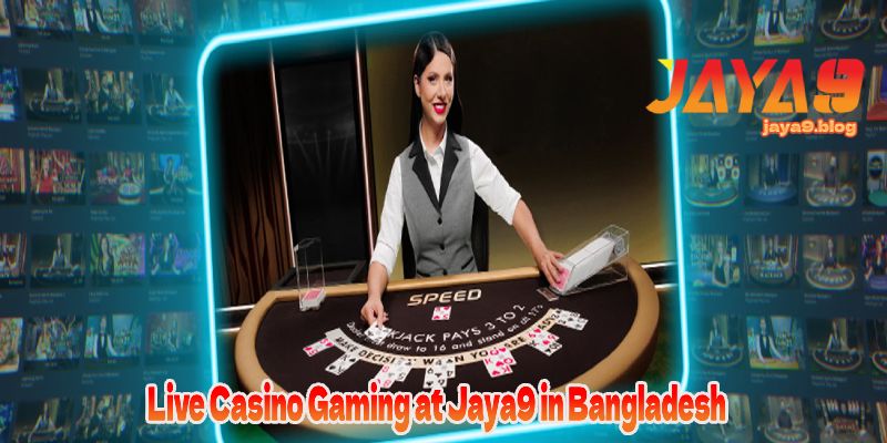 Exploring the World of Jaya9 A New Era in Online Platforms