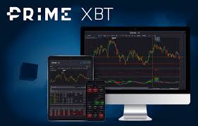 Pocket Option vs PrimeXBT A Comprehensive Comparison
