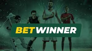 BetWinner - The Ultimate Online Betting Platform
